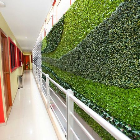 Hotel Lira - Solo Adultos Ciudad de México Exterior foto